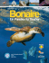 Bonaire - Wirodive