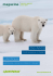 Die Arktis L`Arctique