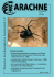 arachne 4/2004 - Deutsche Arachnologische Gesellschaft eV