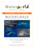 buckelwale - Waterworld