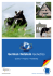 German Holstein Genetics - Deutscher Holstein Verband eV