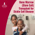 Bone Marrow (Stem Cell) Transplant for Sickle Cell Disease