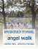 Angel Walk Sponsorship Proposal