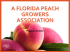 A Florida Peach Growers Association