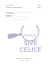 test13 - Male sive celice