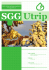 SGG Utrip - SGG Tolmin dd