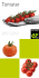 Tomater - Enza Zaden
