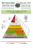 פירמידת המזונות של הרמ"ת