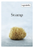 Brochure om svamp
