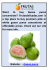 Guava Puree Frutasdelicadas.com